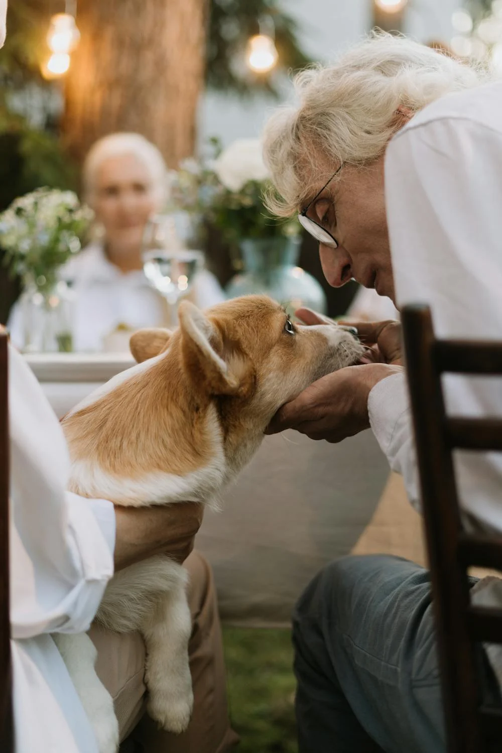 Mutlu köpek ve gönüllü